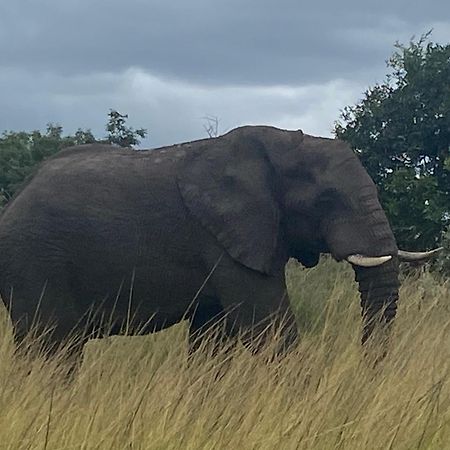 El Seuno De Africa -The Dream Of Africa Villa Japaratinga Ngoại thất bức ảnh