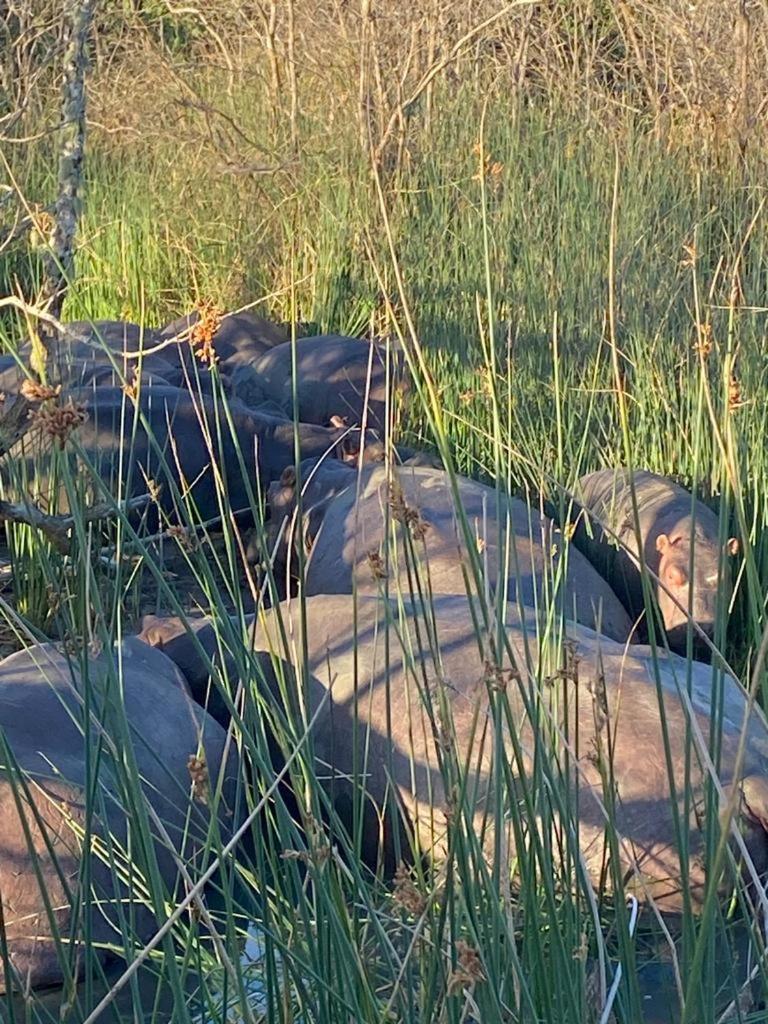 El Seuno De Africa -The Dream Of Africa Villa Japaratinga Ngoại thất bức ảnh