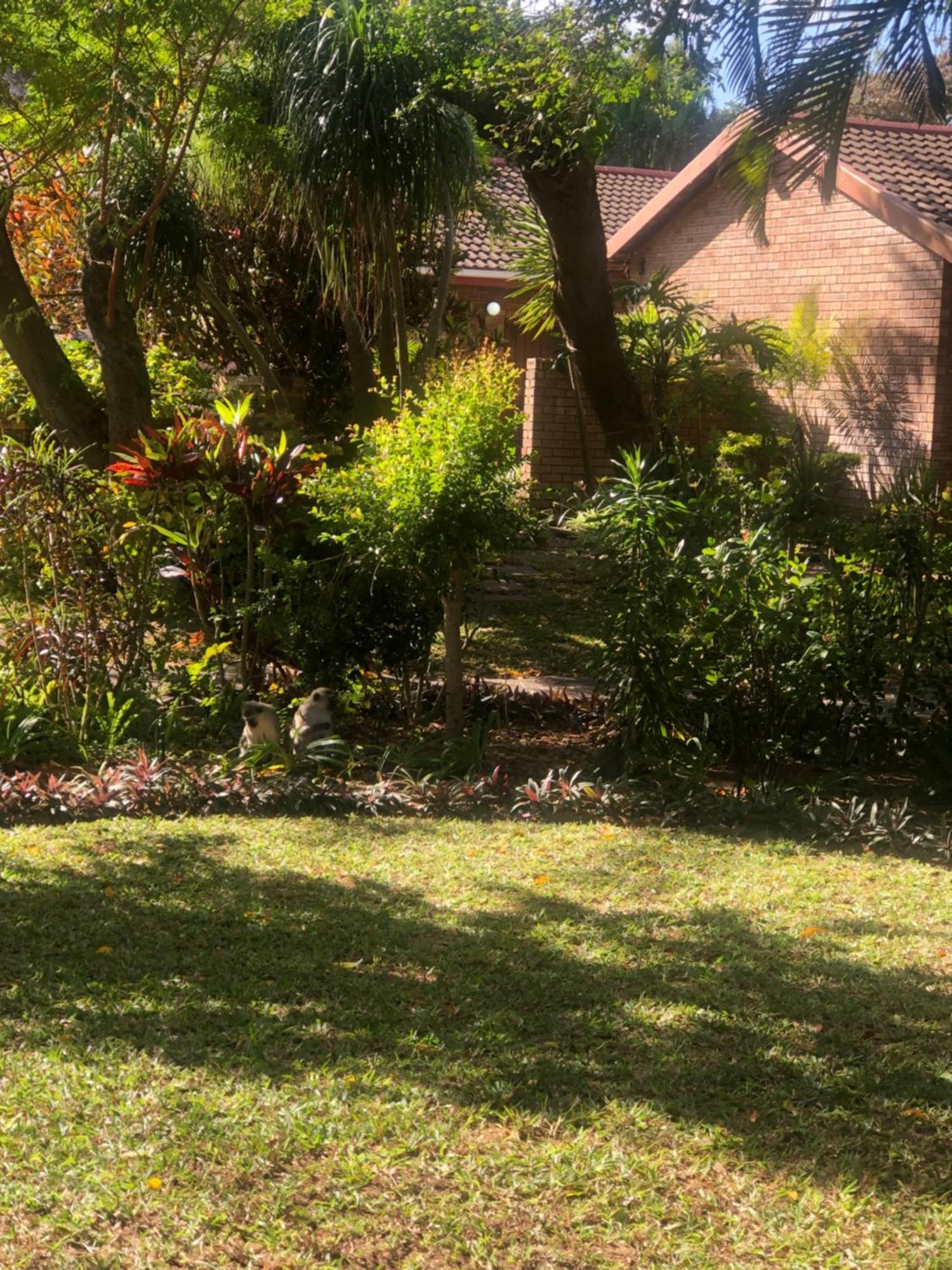 El Seuno De Africa -The Dream Of Africa Villa Japaratinga Ngoại thất bức ảnh
