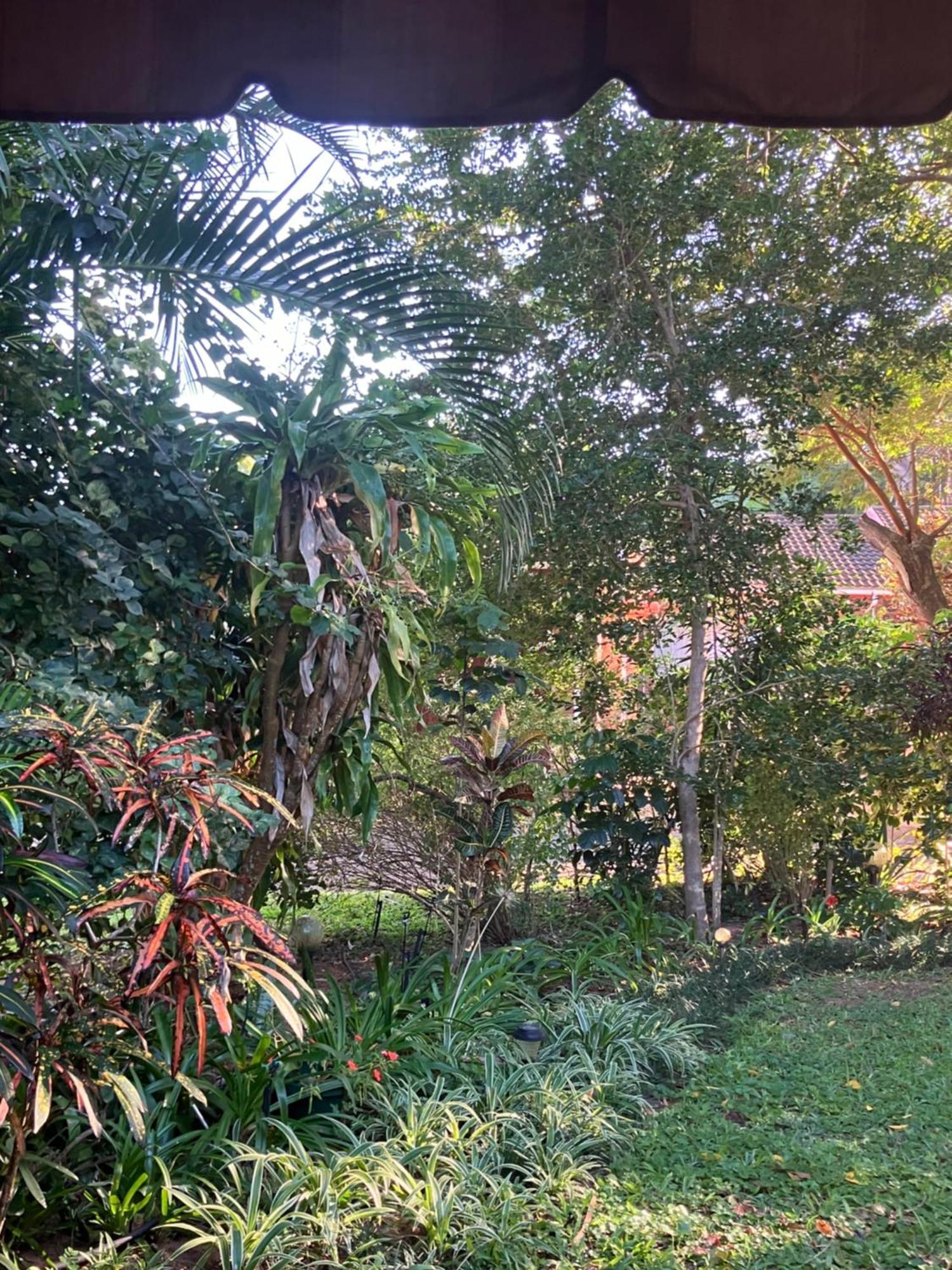 El Seuno De Africa -The Dream Of Africa Villa Japaratinga Ngoại thất bức ảnh